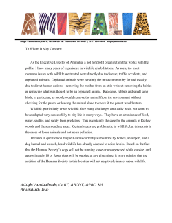 See Reference Letter from Animalia