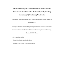 Flexible Electrospun Carbon Nanofiber/Tin(IV) Sulfide Core/Sheath