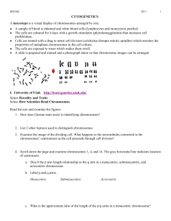 BIO 208 GENETICS