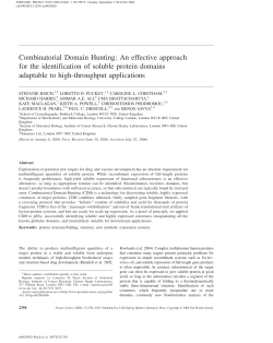 Combinatorial Domain Hunting: An effective approach for the