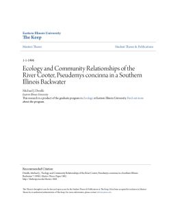 Ecology and Community Relationships of the River - The Keep