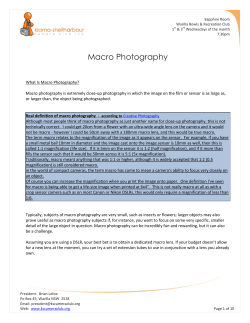Macro Photography