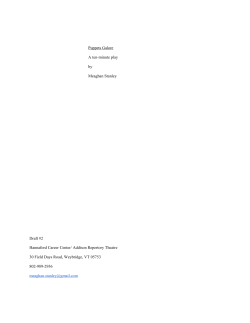 Puppets Galore - Young Writers Project