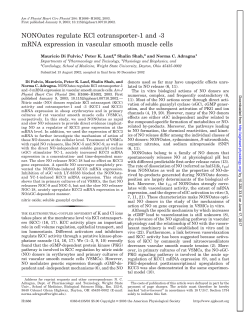 NONOates regulate KCl cotransporter-1 and -3 mRNA - AJP