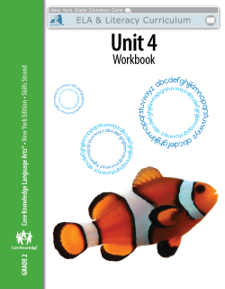 Skills Unit 4 Workbook
