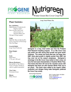 Nutrigreen Winter Green Bio Cover Crop Pea