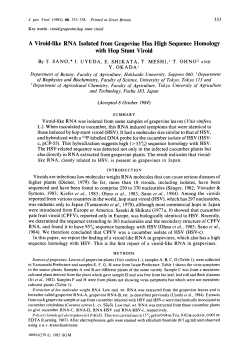 A Viroid-like RNA Isolated from Grapevine Has High Sequence