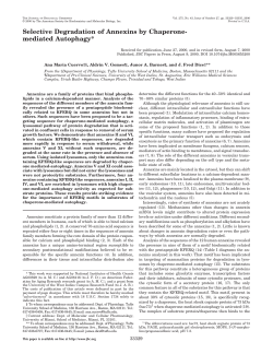 mediated Autophagy - Albert Einstein College of Medicine