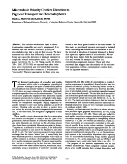 Microtubule Polarity Confers Direction to Pigment