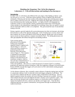 Modeling the Organism: The Cell in Development Laboratory 2: Cell