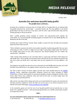 Australia Zoo welcomes beautiful baby giraffe!