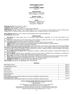 Rabbit - Tulsa State Fair