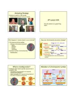 Activating Strategy AP Lesson #39 What is nondisjunction