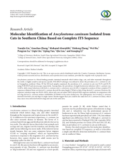 Molecular Identification of Ancylostoma caninum Isolated from Cats