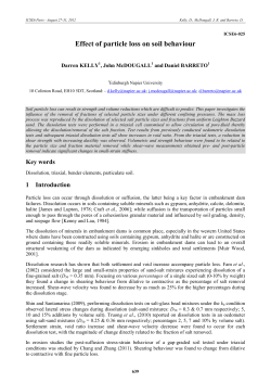 Effect of particle loss on soil behaviour