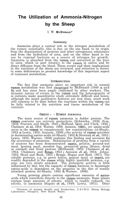 The Utilization of Ammonia-Nitrogen by the Sheep
