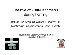 The role of visual landmarks during homing