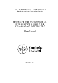 Thesis - KI Open Archive