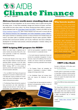 CBFF helping DRC prepare for REDD+ African forests worth more