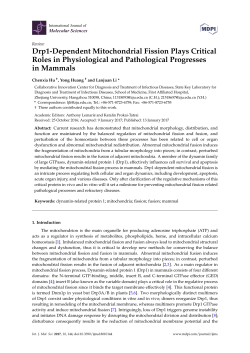 Drp1-Dependent Mitochondrial Fission Plays Critical Roles in
