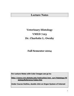 Printable - text only