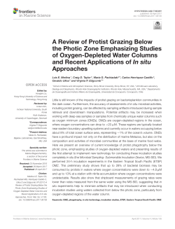 A Review of Protist Grazing Below the Photic Zone Emphasizing