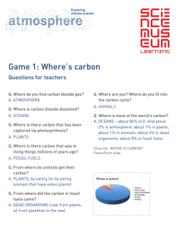 Carbon Cycle Caper game 1 questions