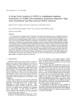 A Large Scale Analysis of cDNA in Arabidopsis thaliana: Generation