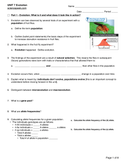 Outline Unit 7