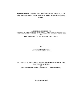petrography and mineral chemistry of the basaltic rocks and