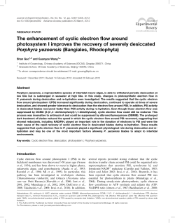changes in DNA The enhancement of cyclic electron flow around