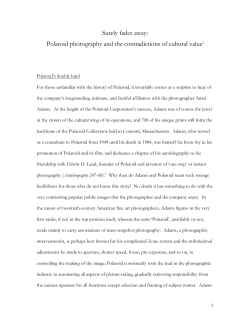Polaroid and cultural value: article 3