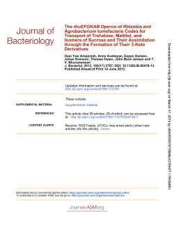 Derivatives through the Formation of Their 3-Keto
