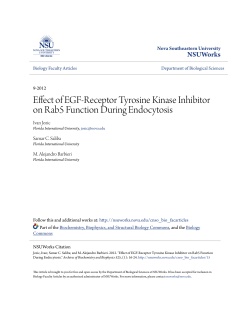 Effect of EGF-Receptor Tyrosine Kinase Inhibitor on Rab5 Function