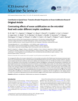 Contrasting effects of ocean acidification on the microbial food web