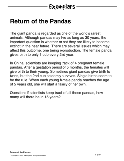 Return of the Pandas