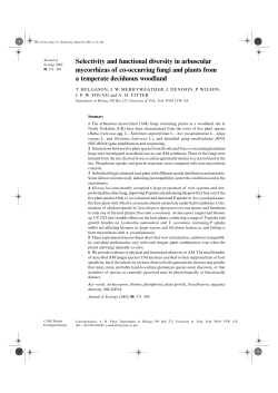 Selectivity and functional diversity in arbuscular