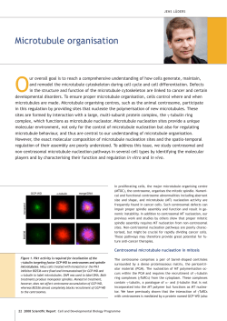 L&uuml;ders Group Scientific Report 2008