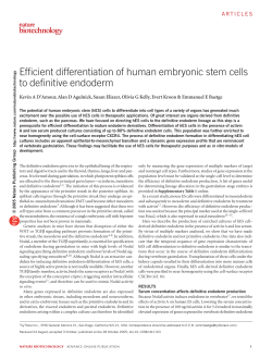 Efficient differentiation of human embryonic stem cells