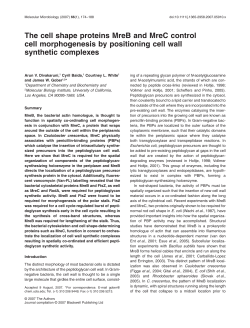 The cell shape proteins MreB and MreC control cell morphogenesis