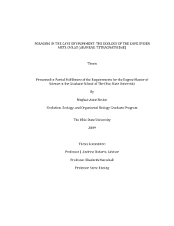 FORAGING IN THE CAVE ENVIRONMENT: THE ECOLOGY OF THE