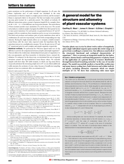 A general model for the structure and allometry of plant vascular