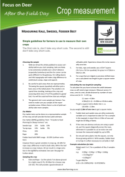Crop measurement