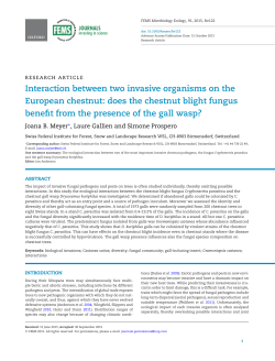Interaction between two invasive organisms on the European chestnut