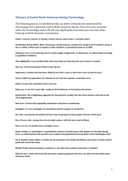 Glossary of Useful North American Racing Terminology