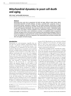 Mitochondrial dynamics in yeast cell death and aging