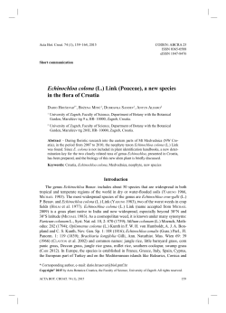 Echinochloa colona (L.) Link (Poaceae), a new species in the flora