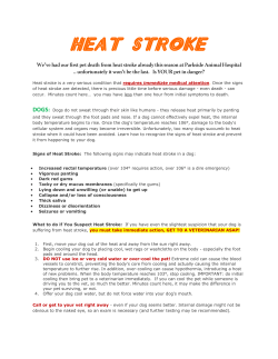 heat stroke - Parkside Animal Hospital