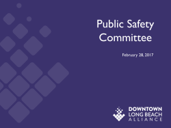 Public Safety Committee