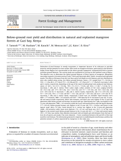 Below-ground root yield and distribution in natural and replanted